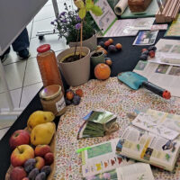 Die Umweltschulen präsentieren ihre Projekte (Foto: Christiane Lecke)